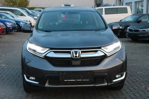 Used HONDA CR-V Petrol 2018 Ad 