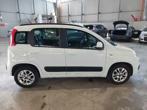 Annonce FIAT PANDA Essence 2019 d'occasion 