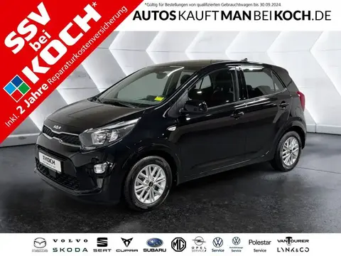 Used KIA PICANTO Petrol 2022 Ad 