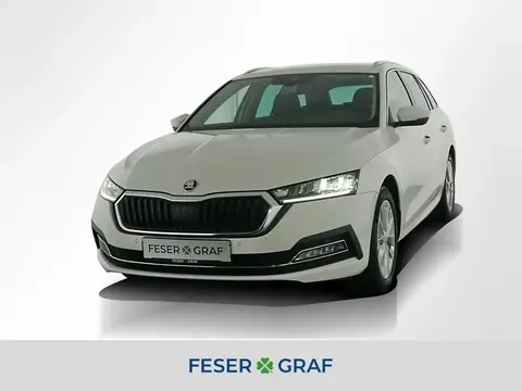 Annonce SKODA OCTAVIA Diesel 2021 d'occasion 