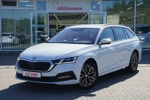 Used SKODA OCTAVIA Diesel 2020 Ad 