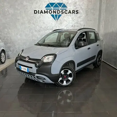 Annonce FIAT PANDA Hybride 2022 d'occasion 