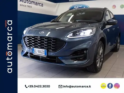 Used FORD KUGA Hybrid 2022 Ad 