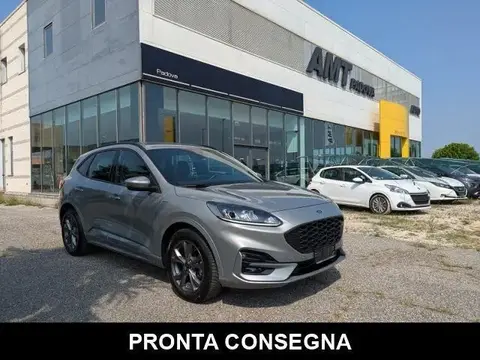 Annonce FORD KUGA Diesel 2022 d'occasion 