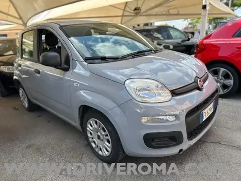 Annonce FIAT PANDA Essence 2019 d'occasion 