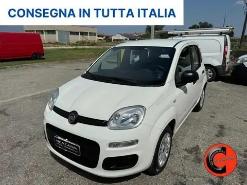 Annonce FIAT PANDA Essence 2019 d'occasion 