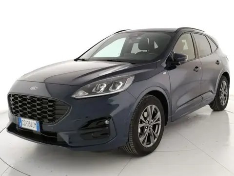 Annonce FORD KUGA Hybride 2021 d'occasion 