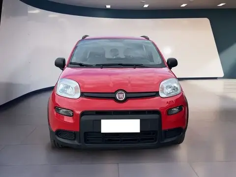 Used FIAT PANDA Hybrid 2021 Ad 