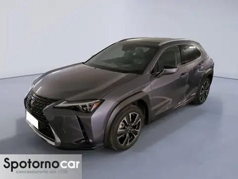 Used LEXUS UX Hybrid 2019 Ad 