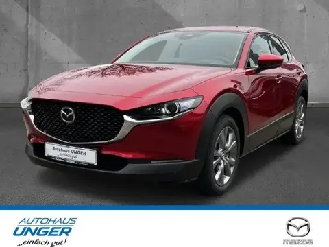 Used MAZDA CX-30 Petrol 2024 Ad 