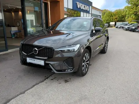 Annonce VOLVO XC60 Diesel 2023 d'occasion 