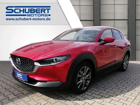 Annonce MAZDA CX-30 Essence 2020 d'occasion 