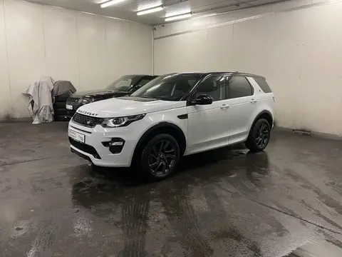 Used LAND ROVER DISCOVERY Diesel 2017 Ad 