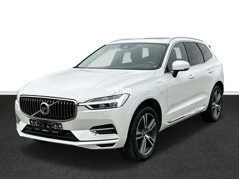 Used VOLVO XC60 Hybrid 2019 Ad 