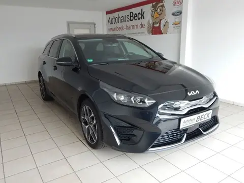 Annonce KIA CEED Hybride 2023 d'occasion 