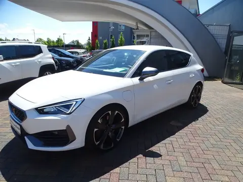 Used CUPRA LEON Hybrid 2021 Ad 