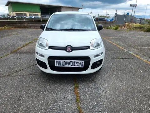 Used FIAT PANDA LPG 2019 Ad 