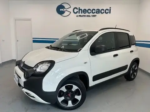 Used FIAT PANDA Hybrid 2020 Ad 