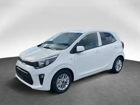 Used KIA PICANTO Petrol 2022 Ad 