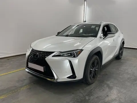 Used LEXUS UX Hybrid 2020 Ad 