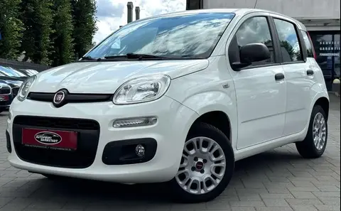 Annonce FIAT PANDA Essence 2017 d'occasion 