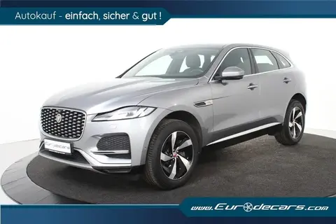 Annonce JAGUAR F-PACE Essence 2021 d'occasion 