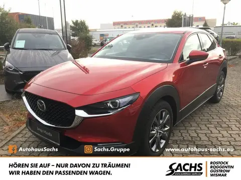 Annonce MAZDA CX-30 Essence 2023 d'occasion 