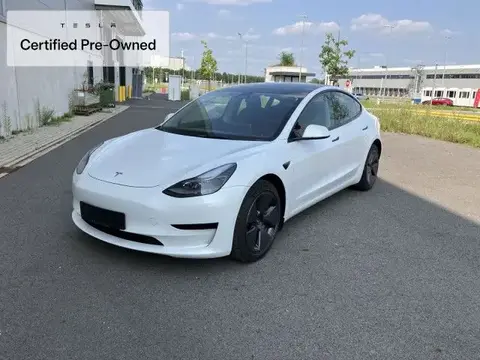 Used TESLA MODEL 3 Not specified 2021 Ad 