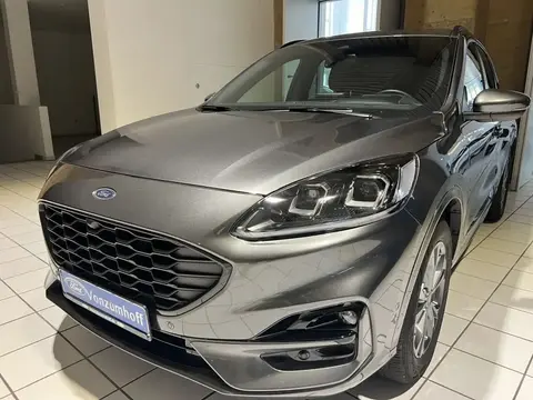 Annonce FORD KUGA Diesel 2023 d'occasion 