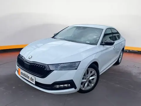 Annonce SKODA OCTAVIA Essence 2023 d'occasion 