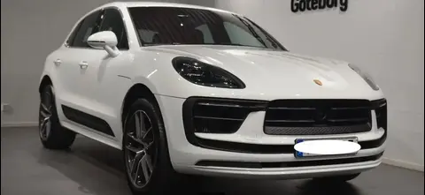 Used PORSCHE MACAN Petrol 2023 Ad 