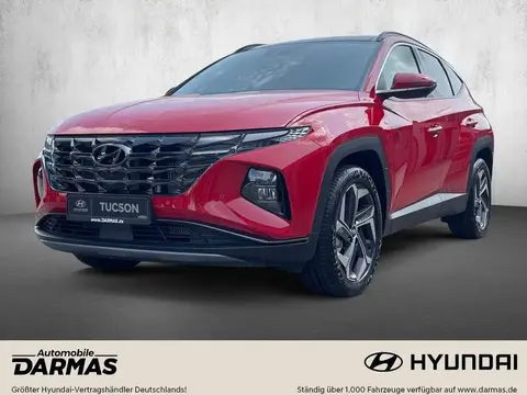 Annonce HYUNDAI TUCSON Essence 2024 d'occasion 