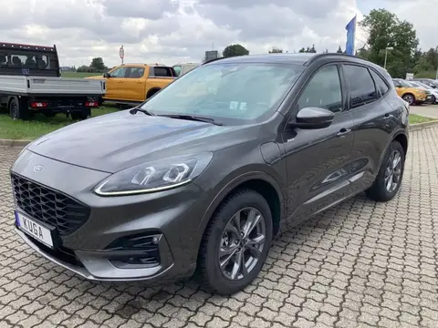 Annonce FORD KUGA Hybride 2021 d'occasion 