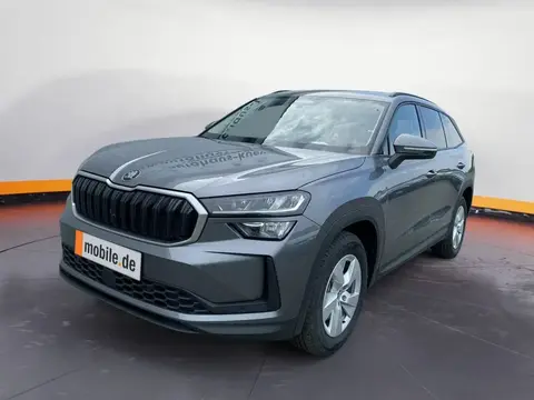 Used SKODA KODIAQ Diesel 2024 Ad 