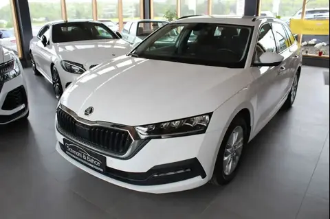 Used SKODA OCTAVIA Petrol 2021 Ad 