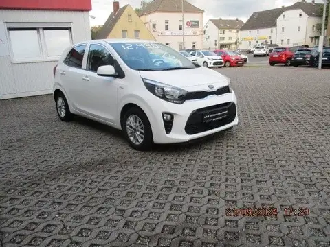 Used KIA PICANTO Petrol 2021 Ad 