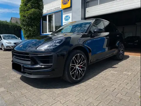 Used PORSCHE MACAN Petrol 2024 Ad 