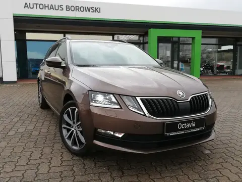 Used SKODA OCTAVIA Petrol 2019 Ad 