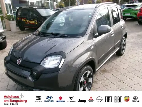 Used FIAT PANDA Petrol 2024 Ad 