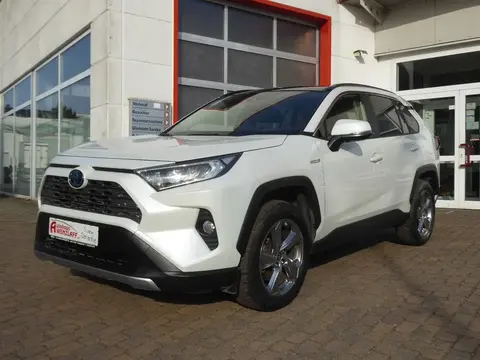 Used TOYOTA RAV4 Hybrid 2020 Ad 