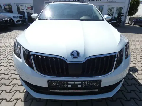 Used SKODA OCTAVIA Petrol 2017 Ad 