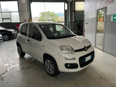 Annonce FIAT PANDA Essence 2018 d'occasion 