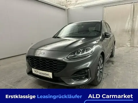 Used FORD KUGA Hybrid 2021 Ad 