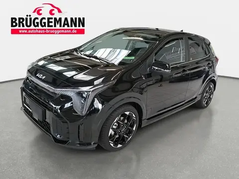 Used KIA PICANTO Petrol 2024 Ad 