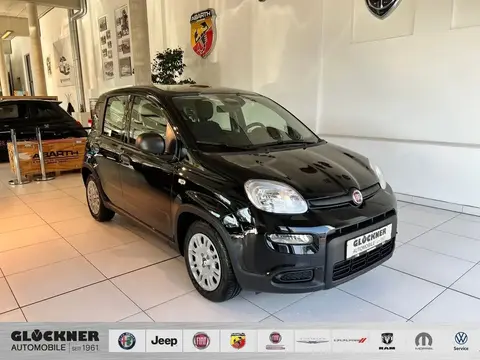 Used FIAT PANDA Petrol 2024 Ad 