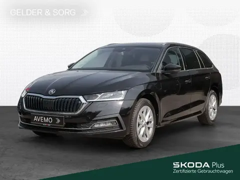 Used SKODA OCTAVIA Diesel 2023 Ad 