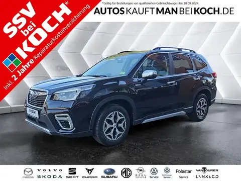 Annonce SUBARU FORESTER Hybride 2021 d'occasion 