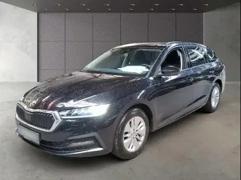 Used SKODA OCTAVIA Diesel 2020 Ad 