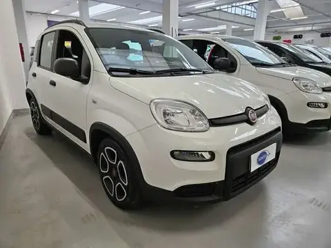 Used FIAT PANDA Hybrid 2022 Ad 