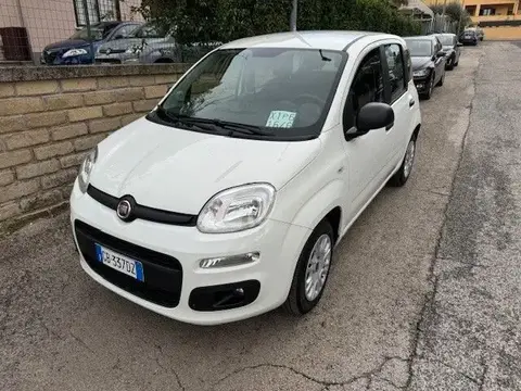 Used FIAT PANDA Petrol 2020 Ad 